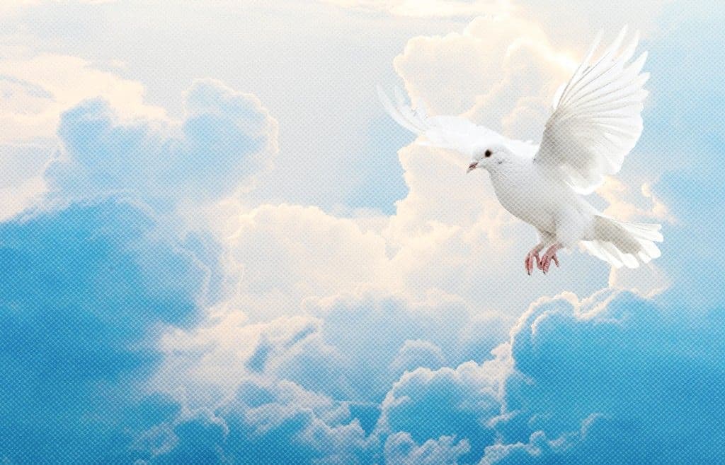 Baltais balodis debesīs - Lieldienu svētku dievkalpojumi